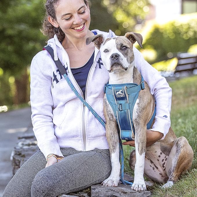 Kurgo Tru-Fit Smart Dog Walking Harness - Comfortable Fit - Adjustable Harness - Reflective Pet Wear - Quick Strap Release - Daily Walk Accessory - Includes Seat Belt Loop - Blue - X-Small