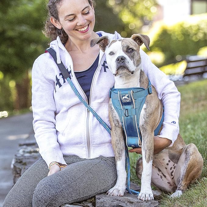 Kurgo Tru-Fit Smart Dog Walking Harness - Comfortable Fit - Adjustable Harness - Reflective Pet Wear - Quick Strap Release - Daily Walk Accessory - Includes Seat Belt Loop - Blue - Small