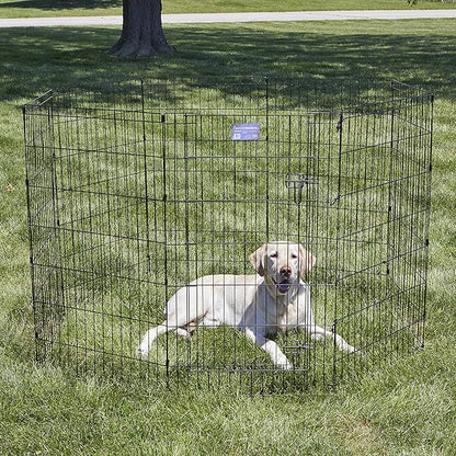 MidWest Homes for Pets 42-Inch Exercise Pen, for Indoor and Outdoor Use, 16 Sq Feet of Play, Single Door Folding Dog Pen, with Large Door Opening & Secure Latch, Easy to Set Up, Foldable Dog Playpen
